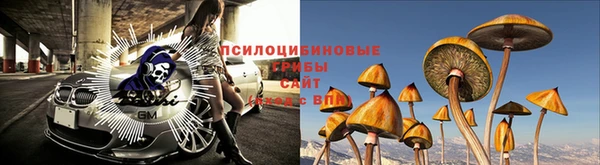 амф Алзамай