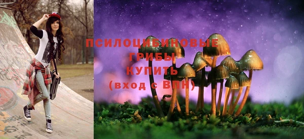 амф Алзамай