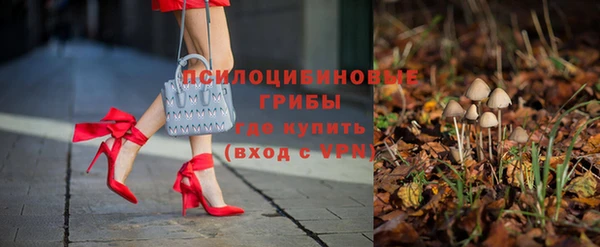 амф Алзамай