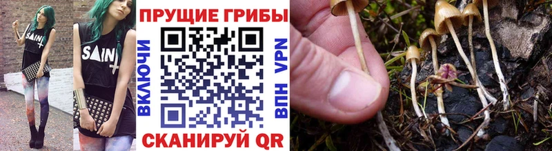 Псилоцибиновые грибы мухоморы  kraken как войти  Самара  купить закладку 